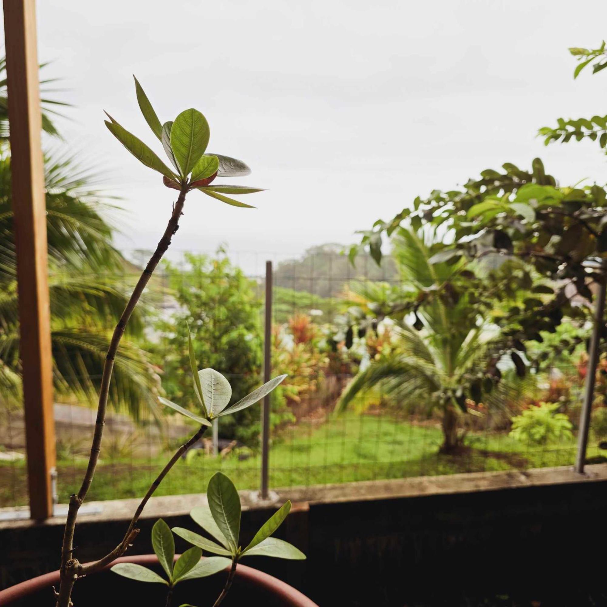 Fare Toahana, Accommodation With A Ocean View Faaa Exteriör bild